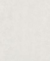 купить Rasch Pop Skin 494709