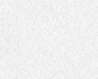 купить A.S.Creation Maistervlies 2020 92951-8