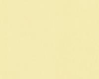 купить A.S.Creation Sunlight 637222