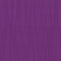 купить P+S International Belcanto 2014 13501-70