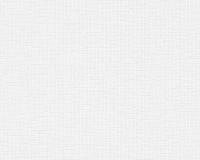 купить A.S.Creation Maistervlies 2020 30751-4