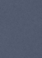 купить Erismann California Dreams 6370-08