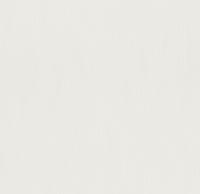 купить Rasch Maximum XII 928402