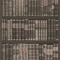 купить Rasch Crispy Paper 525823