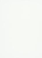 купить Erismann Nordic Summer 1779-01