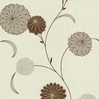 купить P+S International Novara 2 13466-10