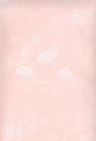 купить Sandudd Tupla Rolleri 20010