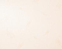 купить A.S.Creation White & Colours 334732