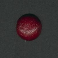 купить Marburg Colani 76994