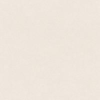 купить Rasch Crispy Paper 527001