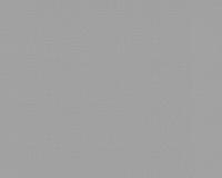 купить A.S.Creation Scandinavian Blossom 298256