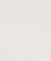 купить Rasch Shiny Chic 798609