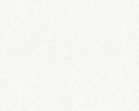 купить A.S.Creation Maistervlies 2020 35562-1