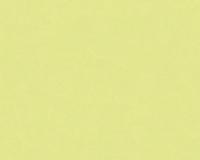 купить A.S.Creation X-Ray 34248-8