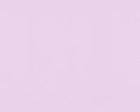 купить A.S.Creation NAF NAF 954565