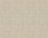 купить A.S.Creation Moderno 36733-6