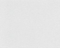 купить A.S.Creation Maistervlies 2020 14101-9