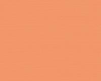 купить A.S.Creation Esprit 13 35755-6