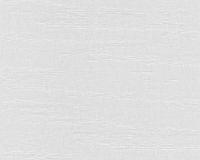 купить A.S.Creation Maistervlies 2020 24601-1