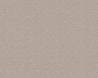 купить A.S.Creation Schoner Wohnen 10 35955-4