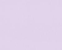 купить A.S.Creation Spot 2 304858