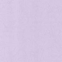 купить P+S International Intense 02258-82