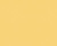 купить A.S.Creation Esprit 5 141835