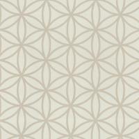 купить P+S International Graphics Alive 13263-20