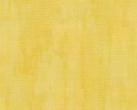 купить A.S.Creation Revival 34081-6