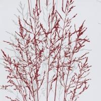купить Erismann Senses 2013 5722-06