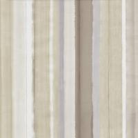 купить P+S International 4ever 02330-50 купить P+S International 4ever 02330-50