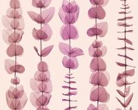 купить A.S.Creation X-Ray 34246-3