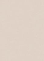 купить Erismann City Glam 5958-26