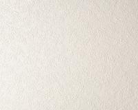 купить A.S.Creation Simply White 666512