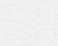 купить A.S.Creation Meistervlies 4 2505-13 / 2506-12