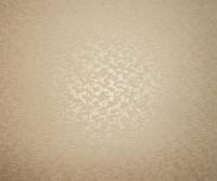 купить BN International Champagne 50101