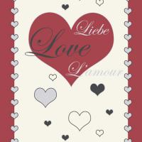 купить P+S International 03844-21