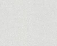 купить A.S.Creation Maistervlies 2020 10411-3