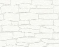 купить A.S.Creation Maistervlies 2020 35541-6