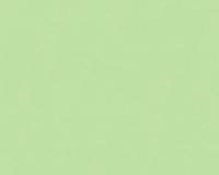 купить A.S.Creation X-Ray 34248-6