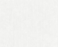 купить A.S.Creation Maistervlies 2020 35470-1