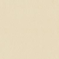 купить P+S International Spotlight 2 02538-30 купить P+S International Spotlight 2 02538-30