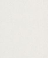 купить Rasch Modern Surfaces 489804 купить Rasch Modern Surfaces 489804