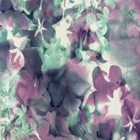 купить P+S International Flower Power 02470-52