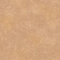 купить Rasch Metal Spirit 2016 588392