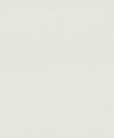 купить Rasch Modern Surfaces 2 604016