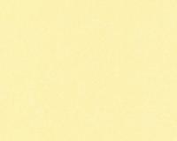 купить A.S.Creation Meistervlies 3 300140