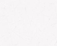 купить A.S.Creation Brigitte 4 944351