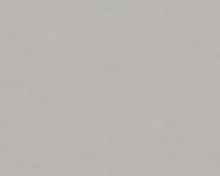 купить A.S.Creation X-Ray 34249-3