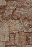 купить BN International More Than Elements 49760